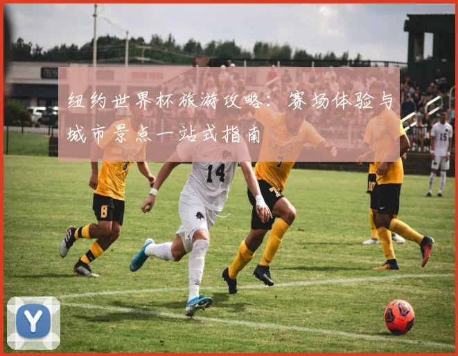纽约世界杯旅游攻略：赛场体验与城市景点一站式指南